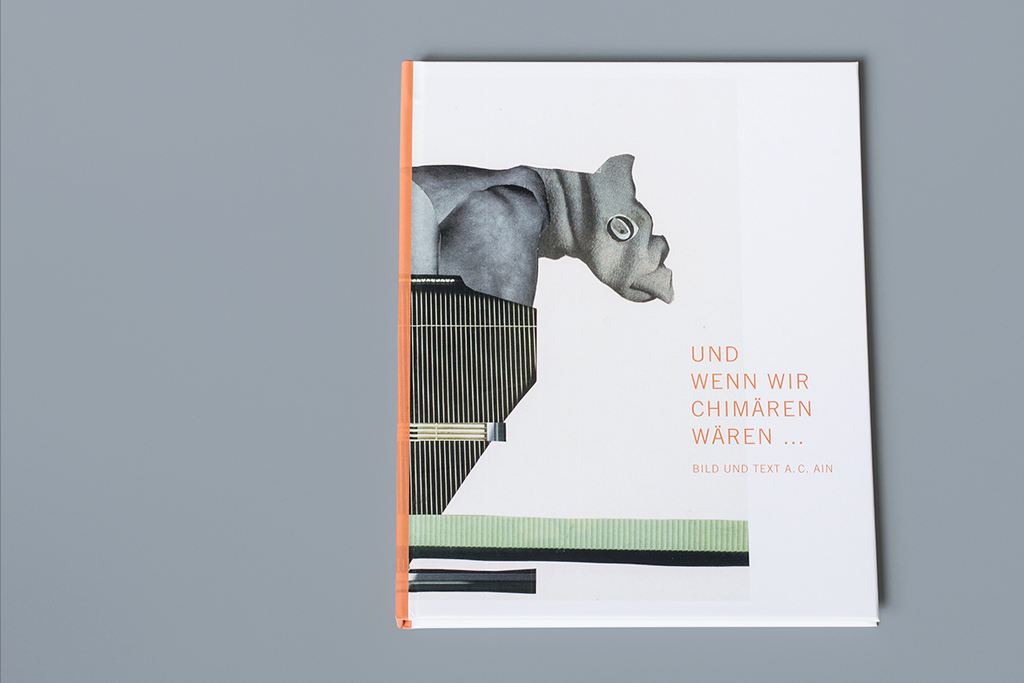 Buchcover Design mit Illustration für ein Kunstbuch