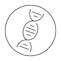 Corporate Design